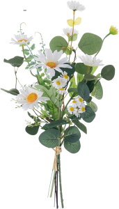  u[P hCt[  EFfBO H tFCNt[ ԑ  IV  CeA Be  nEB ̓ Mtg fCW[ tFCNO[ zCg 1