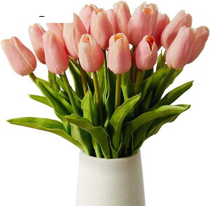  ͂Ȃ `[bv  CeA Mtg ؂Ȑl֊ӂ̋C` ԑ CeA A[gt[ 20{ sN ƁAAXAiXAAp[eB[