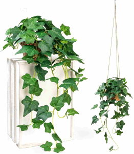 tFCNO[ ݂艺  p ACr[  CeAO[ 70cm ȐlH ϗtAtFCN Ǌ| nMO