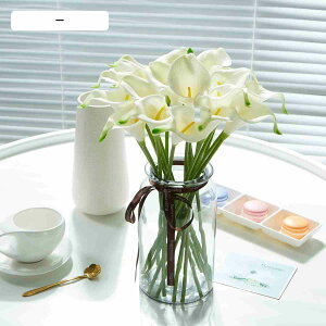  I_JCE VO cally lily AW 20{ ԑ  p[eB[ lX Cxg CeA 