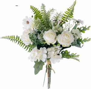 EFfBOuP CeA ϗtA ԃuP o EFfBOv[P   z[ fR[V ̓ hV̓ JXj Vzj j  ] i Mtg v