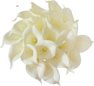 J[[  20{ I_JCE VO cally lily AW ԑ  p[eB[ lX Cxg CeA zCg