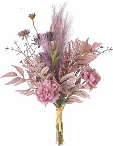 tFCNt[  1 u[P ԑ OB  Vv Ƃ̑ Mtg sN