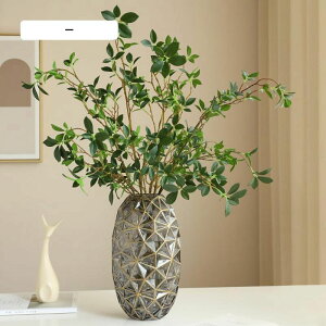 tFCNO[   A H113cm lH ϗtA z[fR[V X܃fBXvC 2{ } tFCN O[ CeA IV