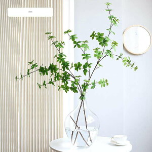 tFCNO[ hE_ccW  A H120cm lH ϗtA 2{ } tFCN O[   X fBXvC ԃCeA  O[