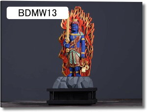 A[gpl s̎ʐ^    CeA { ؘgt̊i (BDMW16 50CMx75CM)