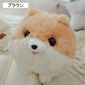 |jAʂ D Aj}   Q NbV  YQ v[g ܂  ʂ ObY qEޏւ̑蕨 zCg Mtg u 