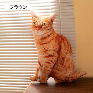  Aj} ʂ  v[g NbV ܂ YQ L lRʂ  Q D  xbh[  45cm ǂ̓ NX}Xv[g