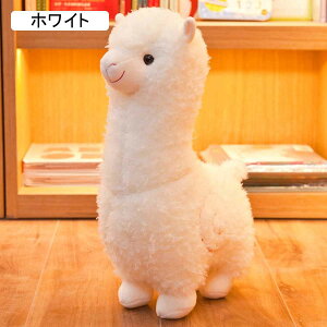 ApJʂ D Aj}   Q NbV  YQ v[g ܂  ʂ ObY qEޏւ̑蕨 Mtg u  JbRC