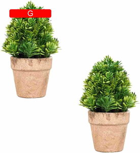  CeA 2 ԕrt G}  tFCNO[ lHϗtA  EGfBO 蕨  v[g ~j CeAO[