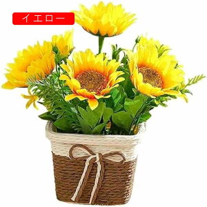  A CeA ԕrt G}  tFCNO[ lHϗtA  EGfBO 蕨  v[g ~j CeAO[