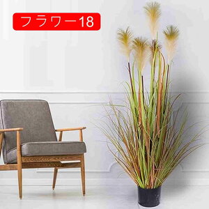 lHϗtA tFCNO[ ^ Ԏd؂ ډB   O ^ gsJ tFCNO[ lHA rO tFCNO[ A 120cm  z[ O  