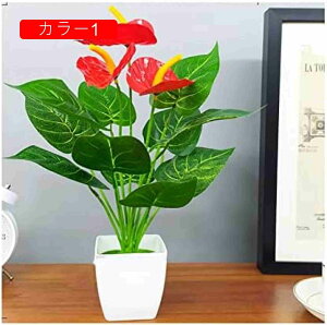   lHA`EA̐AȐẢԉƐlHAẢƂ̃zȇ V~[VvgA