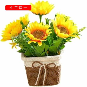  lHẢ oXPbg葢 fpȃtFCNA fXNgbvItBXz[fR[V rO[t@[nEXp 