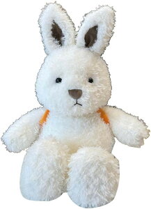 e ʂ ETM     NbV ˂ނ˂ Gǂ n YQ Q 35cm C Q  ǂ̓ NX}X v[g 蕨 z