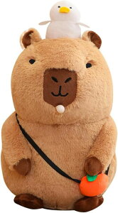 ʂ Jso    u Gǂ 傫 킢 Q 炩 w YQ  D ӂӂ  n uE 蕨 q̓  30c