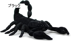 _CIET\ ʂ 剤   A   NbV ˂ނ˂ Gǂ n ubN YQ Q C Q  40cm ǂ̓ N
