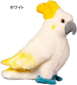RSECR ʂ  CR  傫 Gǂ 킢 Q n ˂ނ˂ C ӂӂ  w q̓ _炩 bh a  25cm