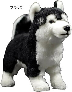 nXL[ ʂ    A Gǂ 킢 Q n ˂ނ˂ C ӂӂ  w ubN q̓ _炩 a  NX}X v