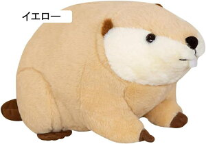 r[o[ ʂ  CK    킢 NbV ˂ނ˂ 傫 Gǂ n _炩 YQ Q 45cm C ObY Q  o