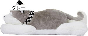 ʂ nXL[   Ck 킢 Gǂ xbh[ _炩 w Q   YQ D 50cm ܎O a ǂ̓ O[ NX