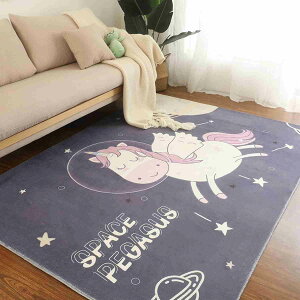 J[ybg q LbYO Ԃ J[ O~ ` H イ  Vу}bg Vׂ ۉ LbY vC}bg  120*160cm h ӂӂ vC[ q