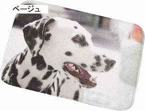 oX}bg 􂦂郉O C}bg GgX}bg _[Nu[ n z ~߃}bg @}bg Gx[^[O ~  ې  ۈ牀  䏊 _炩 D