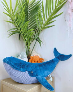 UgENW _炩 NbV  A  ӂӂ 傫  C ʂ Cm @\ w 100cm YQ  Mtg CeA Q v[