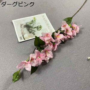 u[QrA  A[gt[ v[g 蕨 CeA ֏ z[ 뉀 ItBX JXj a    ~ b炸 sv ͂Ȃ 1{ lH 