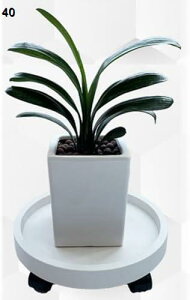 t[X^h 360°] LX^[t ԑ t |bN ړ֗ pA O Aؔ ԕr (40)