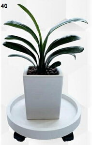 t[X^h 360°] LX^[t ԑ t |bN ړ֗ pA O Aؔ ԕr (40)