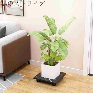 u t[X^h ؐ Aؔ 360° 4LX^[tAؔg[ lp  u u[Lt t[|b g ړ֗ ی  ԑ O