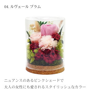 vU[uht[ KXh[ t[ ͂Ȃ ỉ CeA t[ Mtg  pbg v[g  o a Mtg   a ސEj j