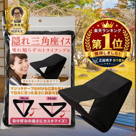 【日本企画】正座椅子 折りたたみ式 コンパクト 茶道 携帯用 正座補助椅子 痺れ防止 軽量 持ち運び 正座いす 正座イス 折り畳み 携帯椅子 腰痛対策 膝痛対策 姿勢サポート 冠婚葬祭 お寺 和室 畳 敬老の日 高齢者 父の日 ギフト 法事 仏事 法要 葬儀 収納袋付き WALKS JAPAN