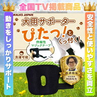 【全国TV紹介商品】【現役医師推奨】犬用サポーター 伸びるマジックテープ （スプリング搭載）1枚入り 犬…