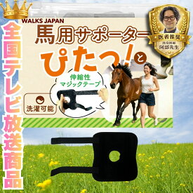 【全国TV紹介商品】【現役医師推奨】馬用サポーター 伸びるマジックテープ （スプリング搭載）犬 骨折治療 関節プロテクター 舐め防止 馬足プロテクター 老馬介護 ペット用 乗馬 乗馬用品 馬具 球節 屈腱 バンテージ 脚プロテクター ポニー 競走馬 サラブレッド WALKS JAPAN