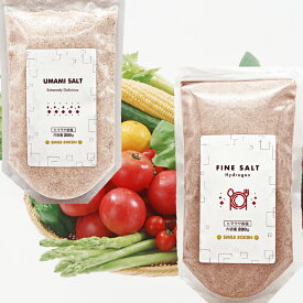 ファインソルト・ウマミソルト詰め合わせ ギフト プレゼント 実用的 プレゼント