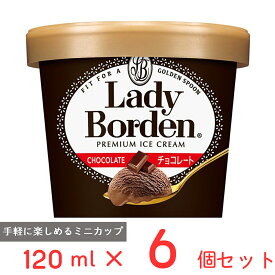 [アイス] ロッテ レディーボーデン ミニカップ チョコレート 120ml×6個