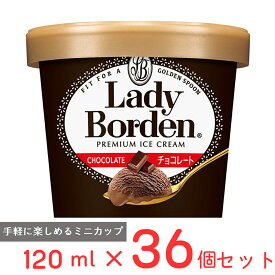 [アイス] ロッテ レディーボーデン ミニカップ チョコレート 120ml×36個