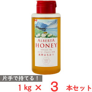 クインビーガーデン アルバータハニー 1kg×3本