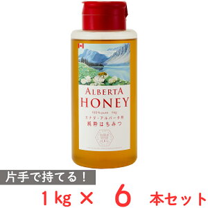 �N�C���r�[�K�[�f�� �A���o�[�^�n�j�[ 1kg×6�{