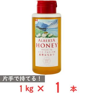 �N�C���r�[�K�[�f�� �A���o�[�^�n�j�[ 1kg