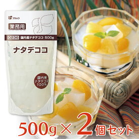 フジッコ 業務用 国内産ナタデココ 500g×2個 シラップ漬け 大容量 原料 製菓 材料 食物繊維 トッピング