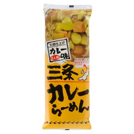 楽天市場 三条 カレーラーメンの通販