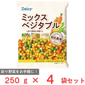 [Ⓚ] Delcy ~bNX׃W^u 250g×4