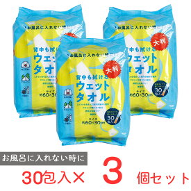 背中も拭ける大判ウェットタオル×3個 ノンフード 日用品 ウェットタオル ウェットティッシュ ウェットシート 防災 ボディ シート からだふきシート 体拭き 身体 拭き 使い捨て 防災グッズ 介護 アウトドア