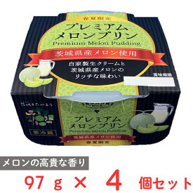 [冷蔵] 茨城乳業 プレミアムメロンプリン 97g×4個