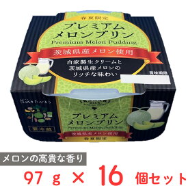 [冷蔵] 茨城乳業 プレミアムメロンプリン 97g×16個