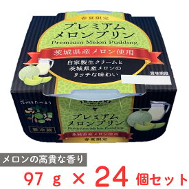[冷蔵] 茨城乳業 プレミアムメロンプリン 97g×24個