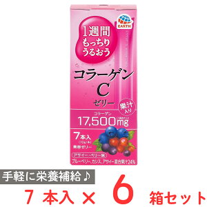 A[X 1TԂ肤邨R[QC[[ ATC[Ex[ 70g×6